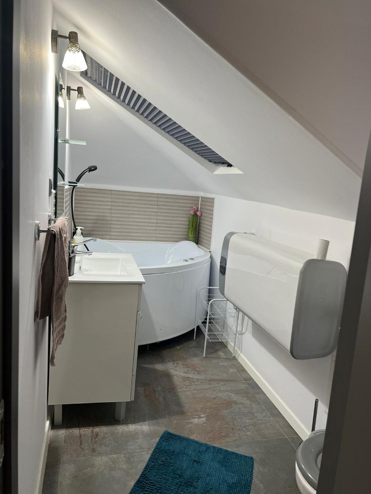 Apartament Mansarda Venus Râmnicu Vâlcea 外观 照片